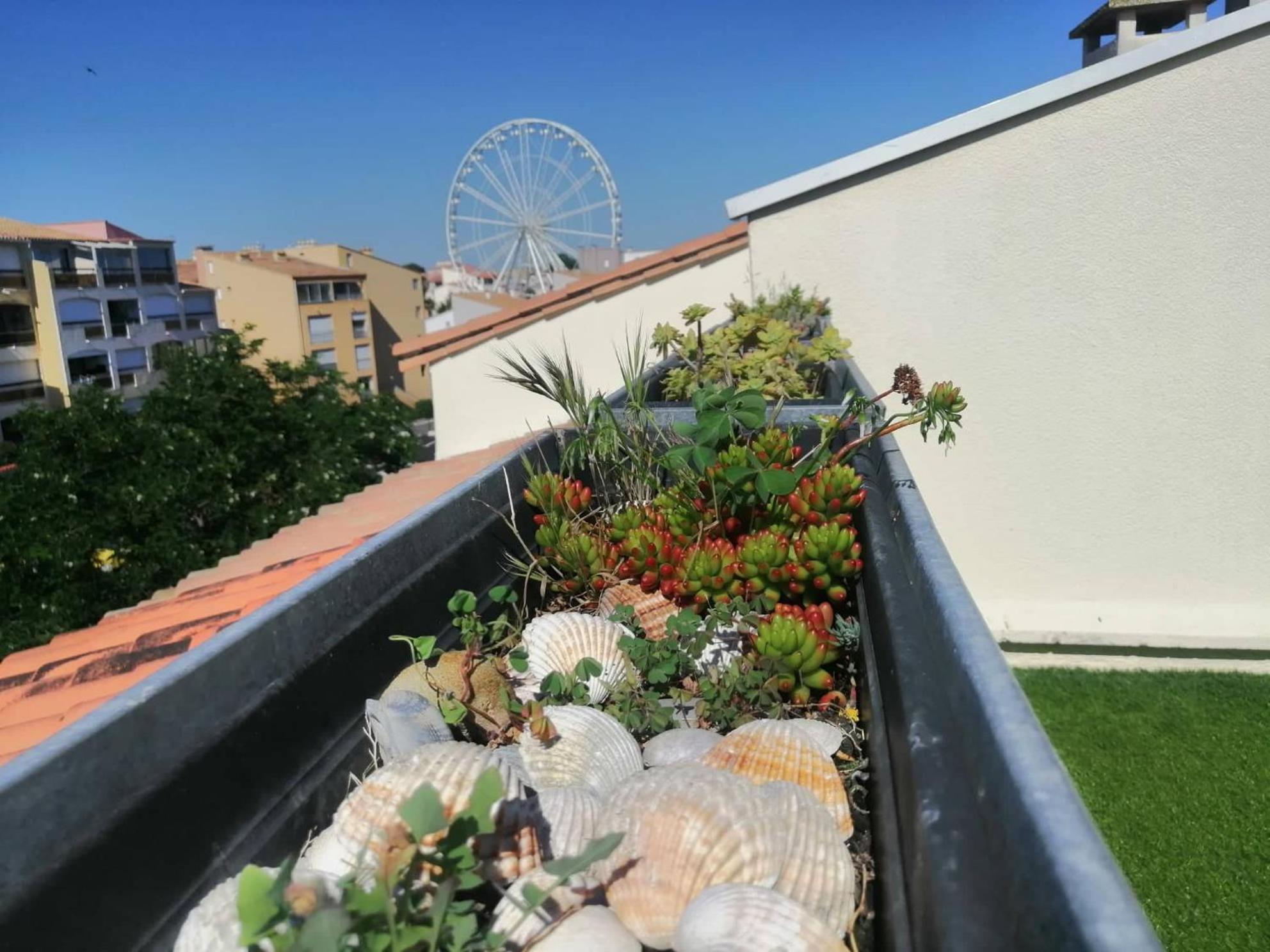 Pamela Sea Lodge Cap D Agde Dış mekan fotoğraf